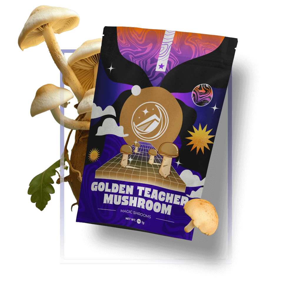 Golden Teachers Mushrooms 6 Golden Teachers Mushrooms 6
