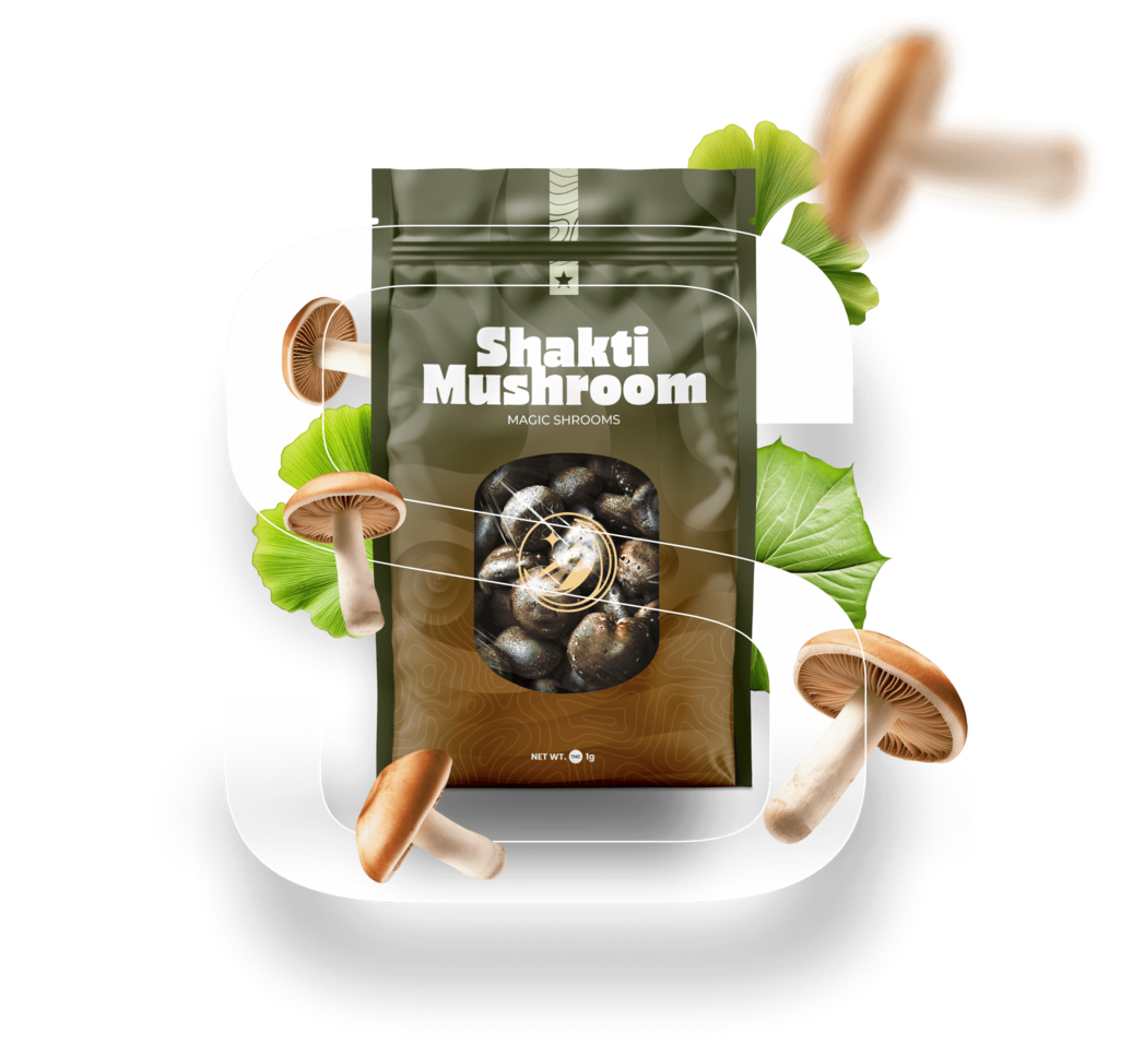 Shakti magic mushroom Shakti magic mushroom