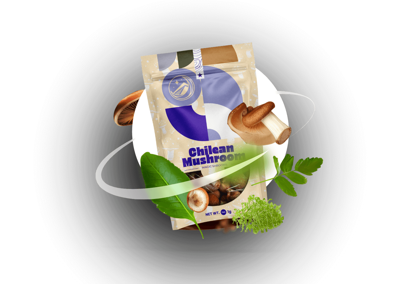 chlean magic mushrooms chlean magic mushrooms